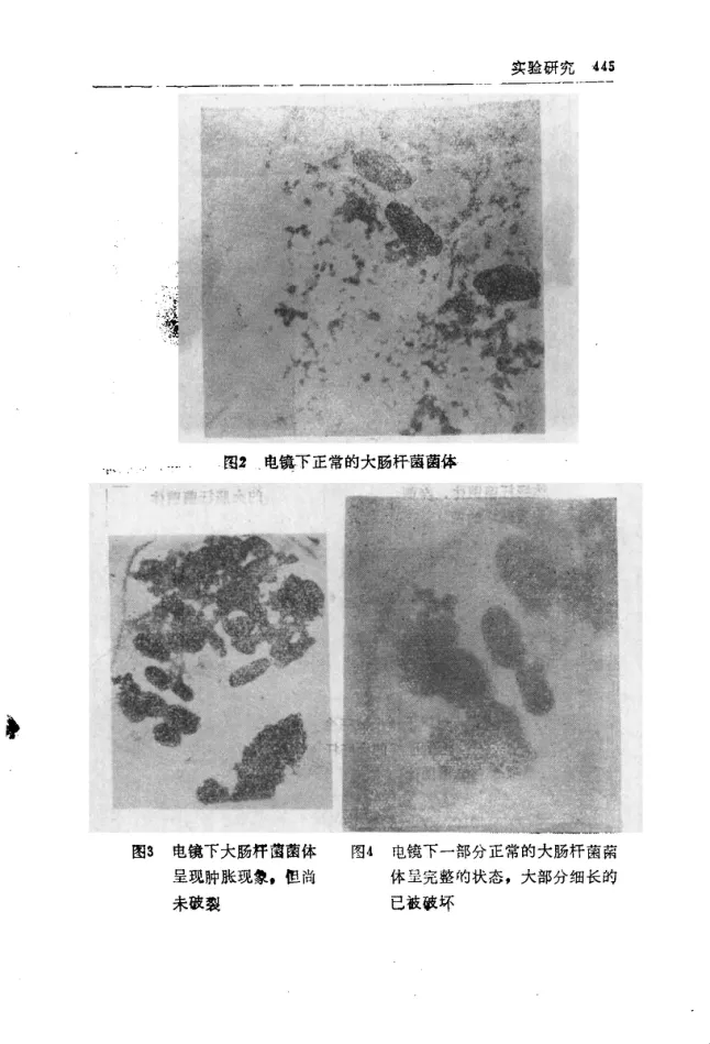 Source figure, chart, table, or record, PDF page 457