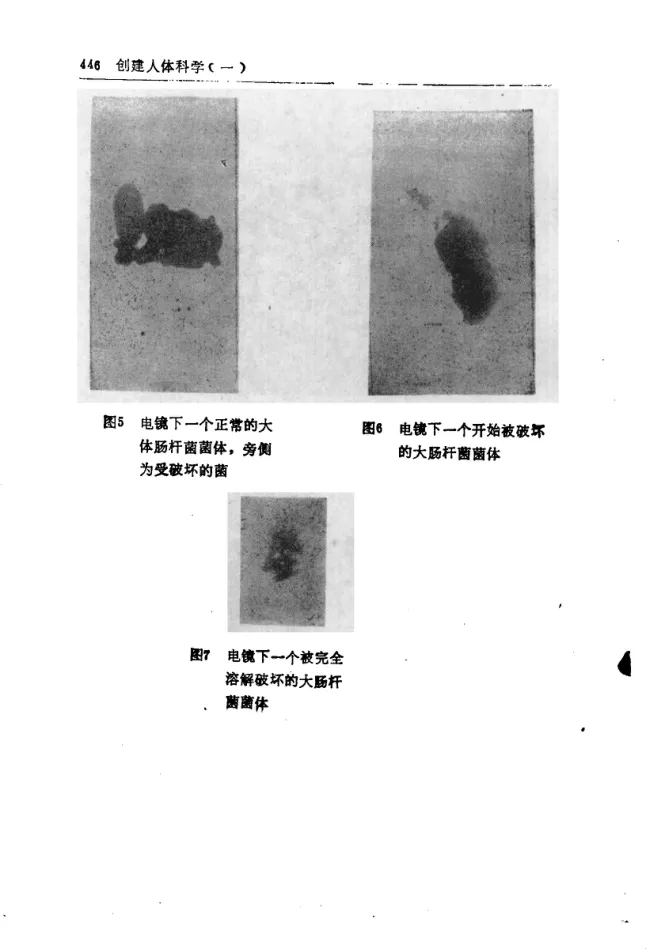 Source figure, chart, table, or record, PDF page 458