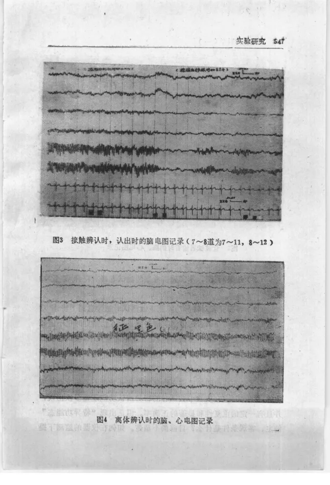 Source figure, chart, table, or record, PDF page 559