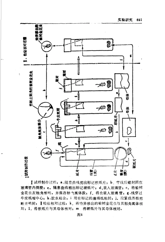 Source figure, chart, table, or record, PDF page 703