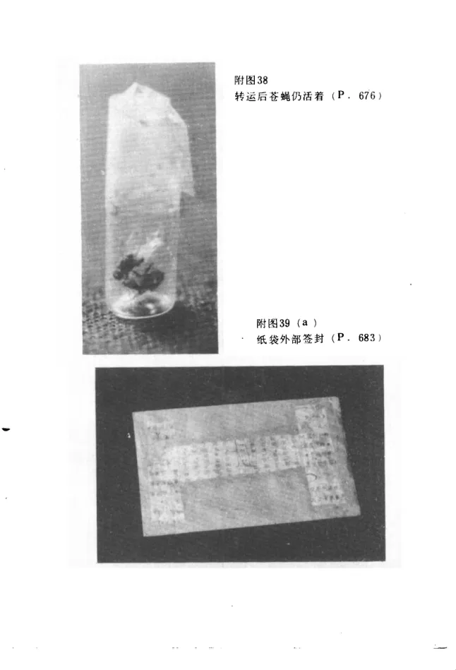 Source photographic or technical plate, PDF page 862