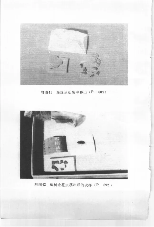 Source photographic or technical plate, PDF page 865
