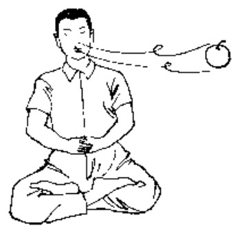 Source page 67: Source Figure 1