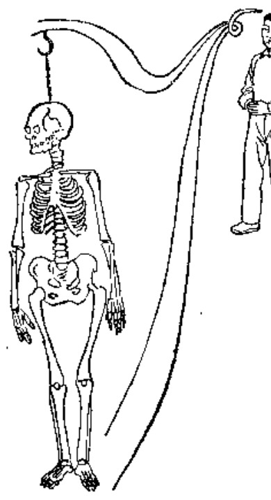 Source page 68: Source Figure 1