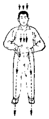 Source page 111: Source Figure 1