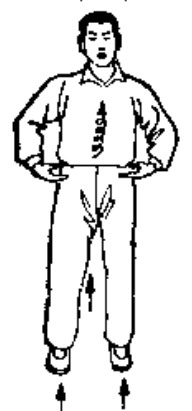 Source page 112: Source Figure 1