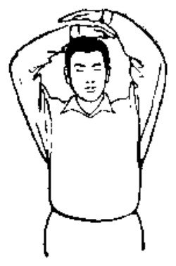Source page 113: Source Figure 1