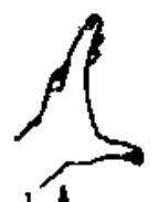 Source page 114: Source Figure 2