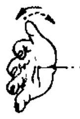 Source page 115: Source Figure 2