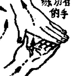 Source page 118: Source Figure 1