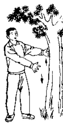 Source page 120: Source Figure 1