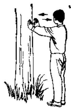 Source page 120: Source Figure 2