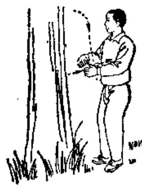 Source page 121: Source Figure 1