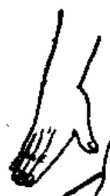 Source page 122: Source Figure 1