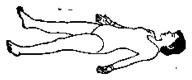 Source page 131: Source Figure 2