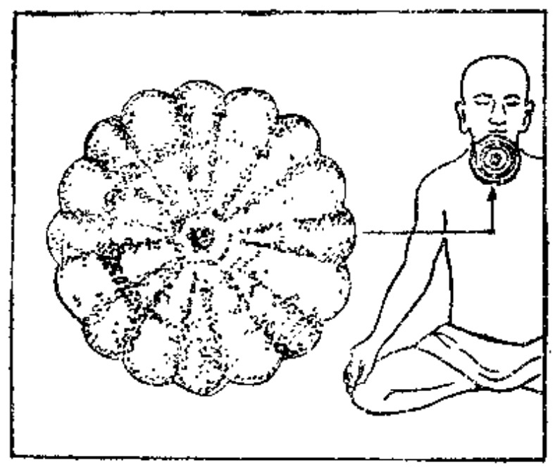 Source page 32: Source Figure 1
