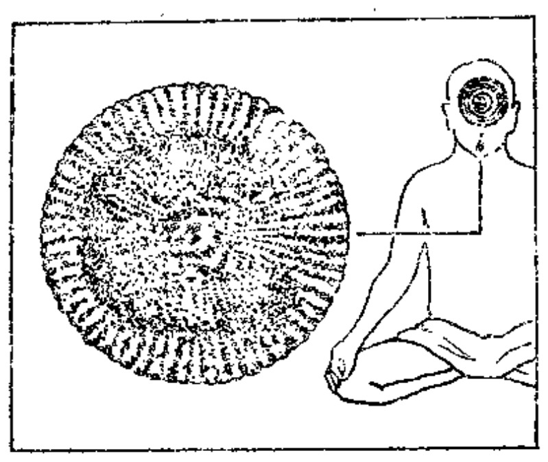 Source page 33: Source Figure 1