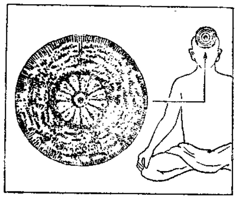 Source page 34: Source Figure 1
