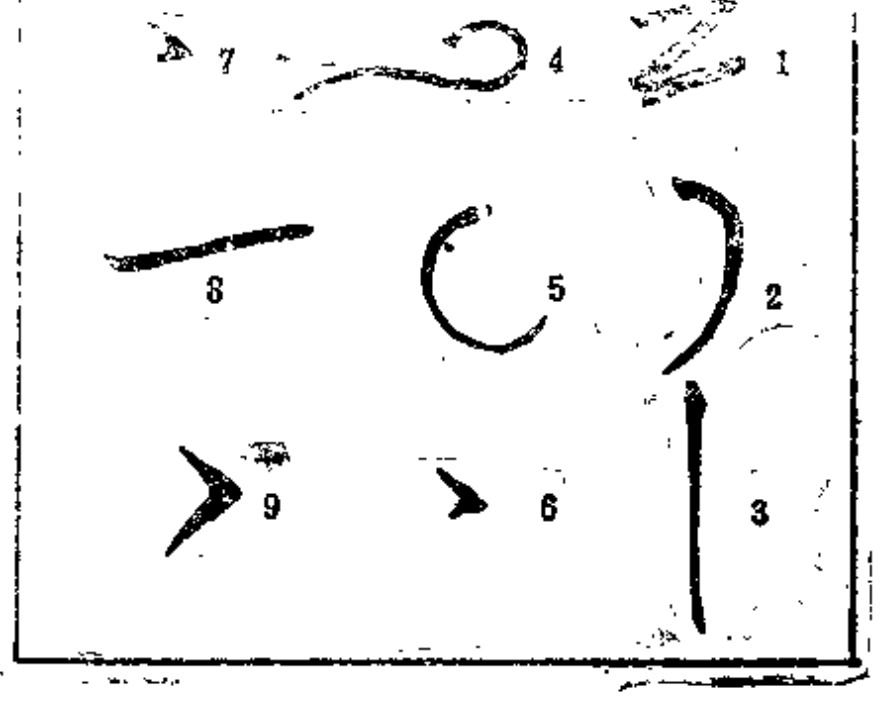 Source page 49: Source Figure 2