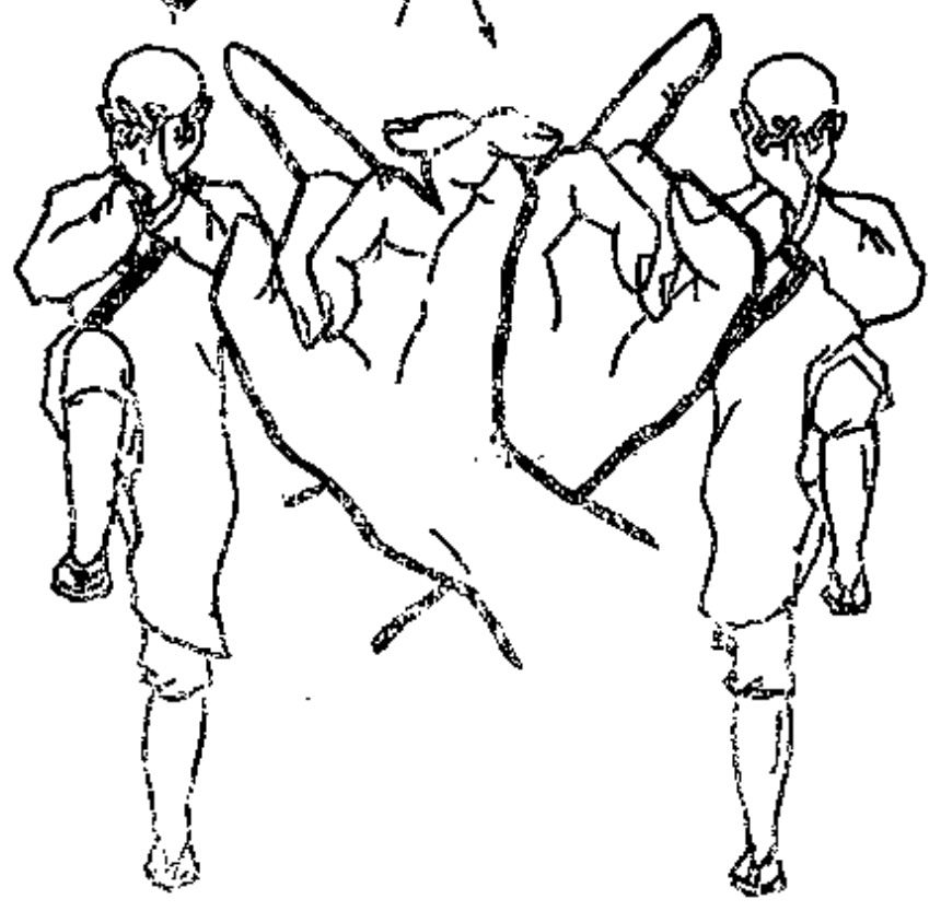 Source page 77: Source Figure 2