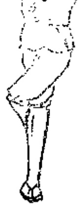 Source page 93: Source Figure 2