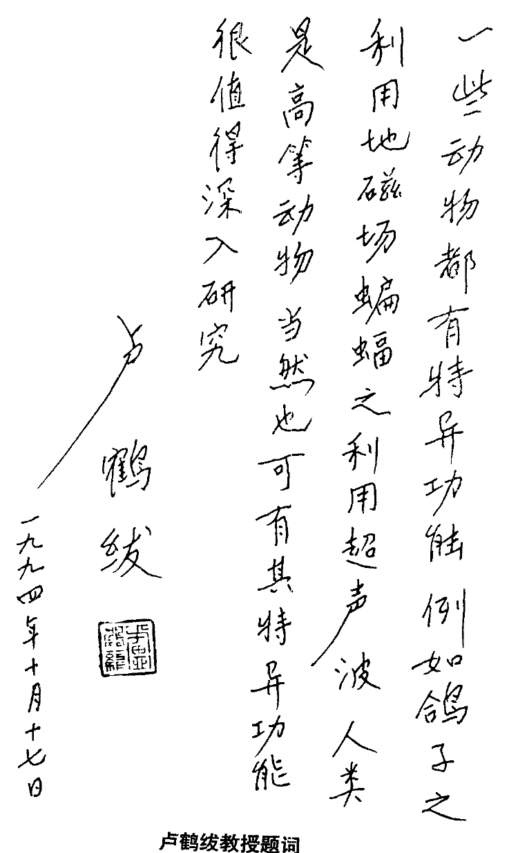 Calligraphic inscription reproduced from the original edition
