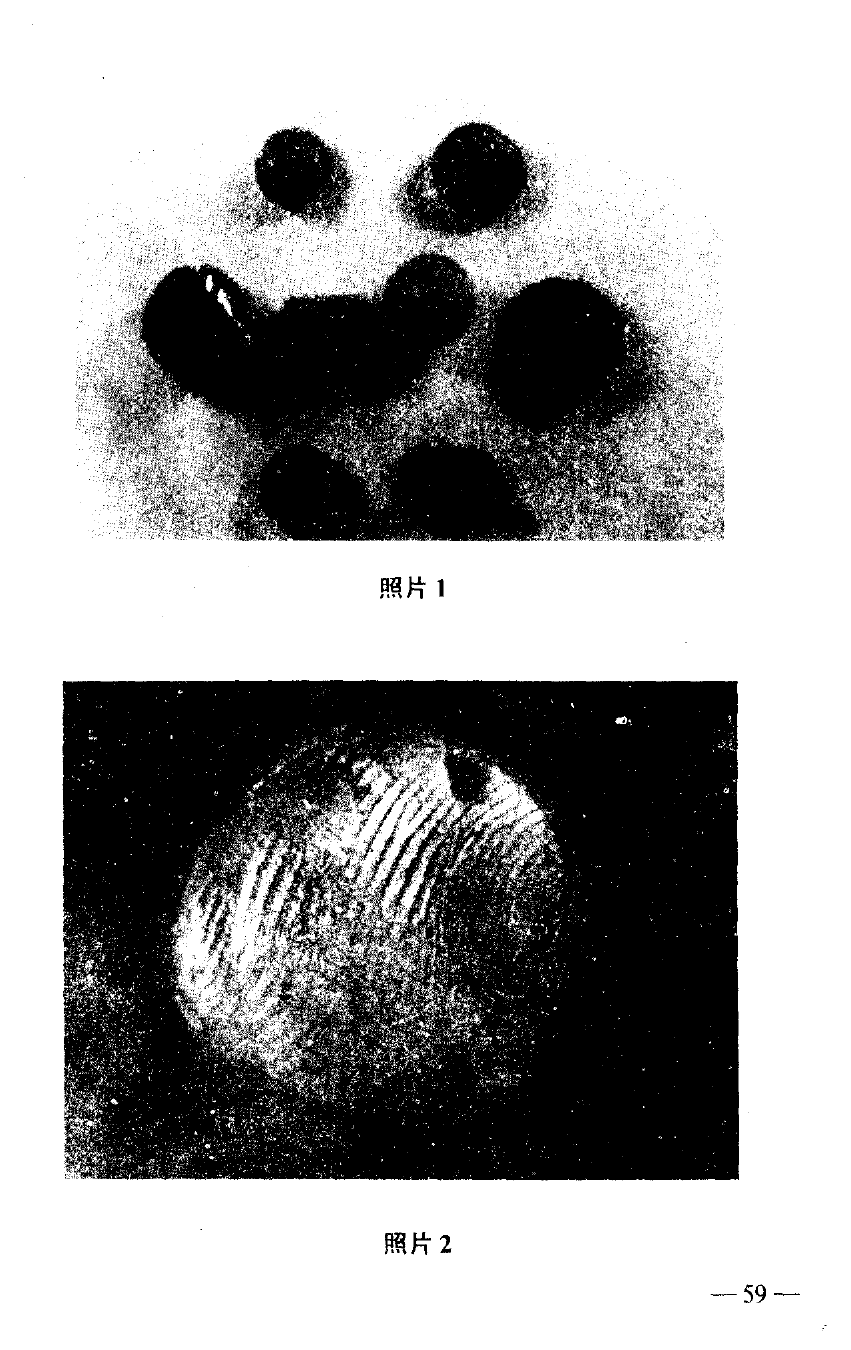 Photos 1–2. Plasticine impressions and fingerprint