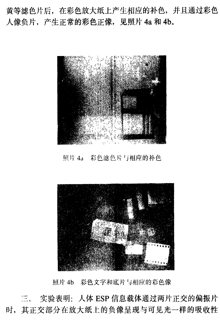Photo 4. Color photographic records