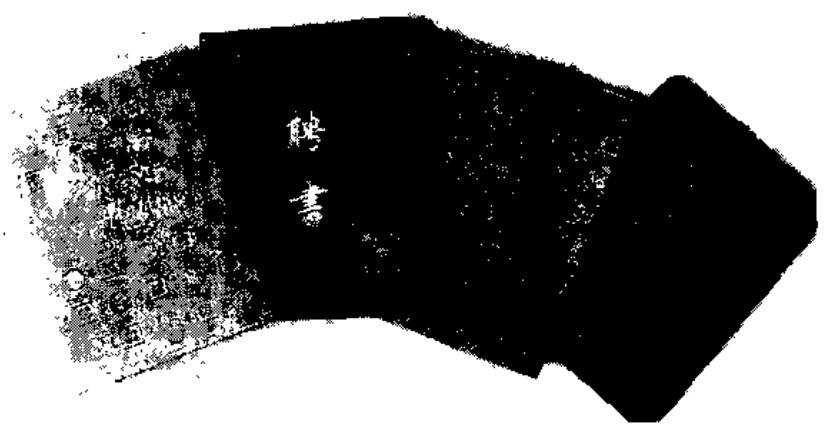 Source page 13: Source Visual 1