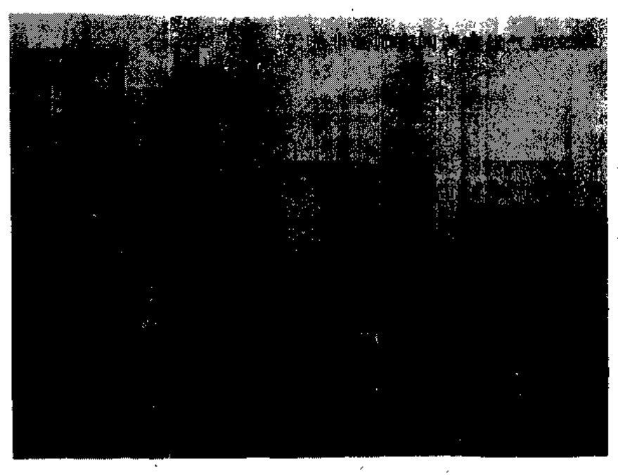 Source page 93: Source Visual 1