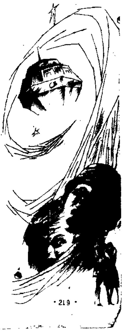 Source page 219: Source Visual 1