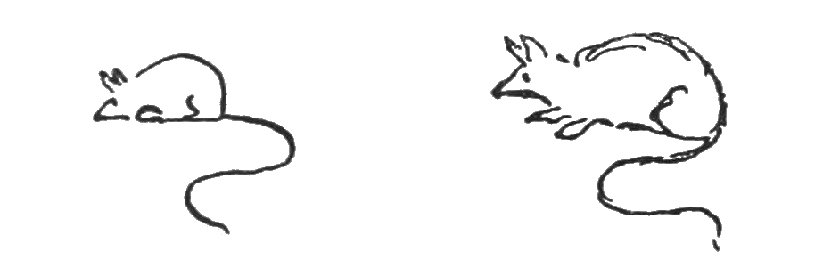 Charpentier's drawing of a mouse and Ossowiecki's reproduction, on PDF page 151