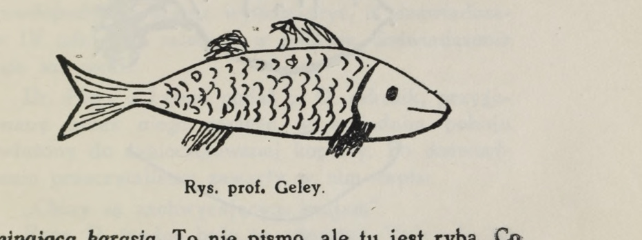 Prof. Geley’s drawing of a long fish facing right; source PDF page 305