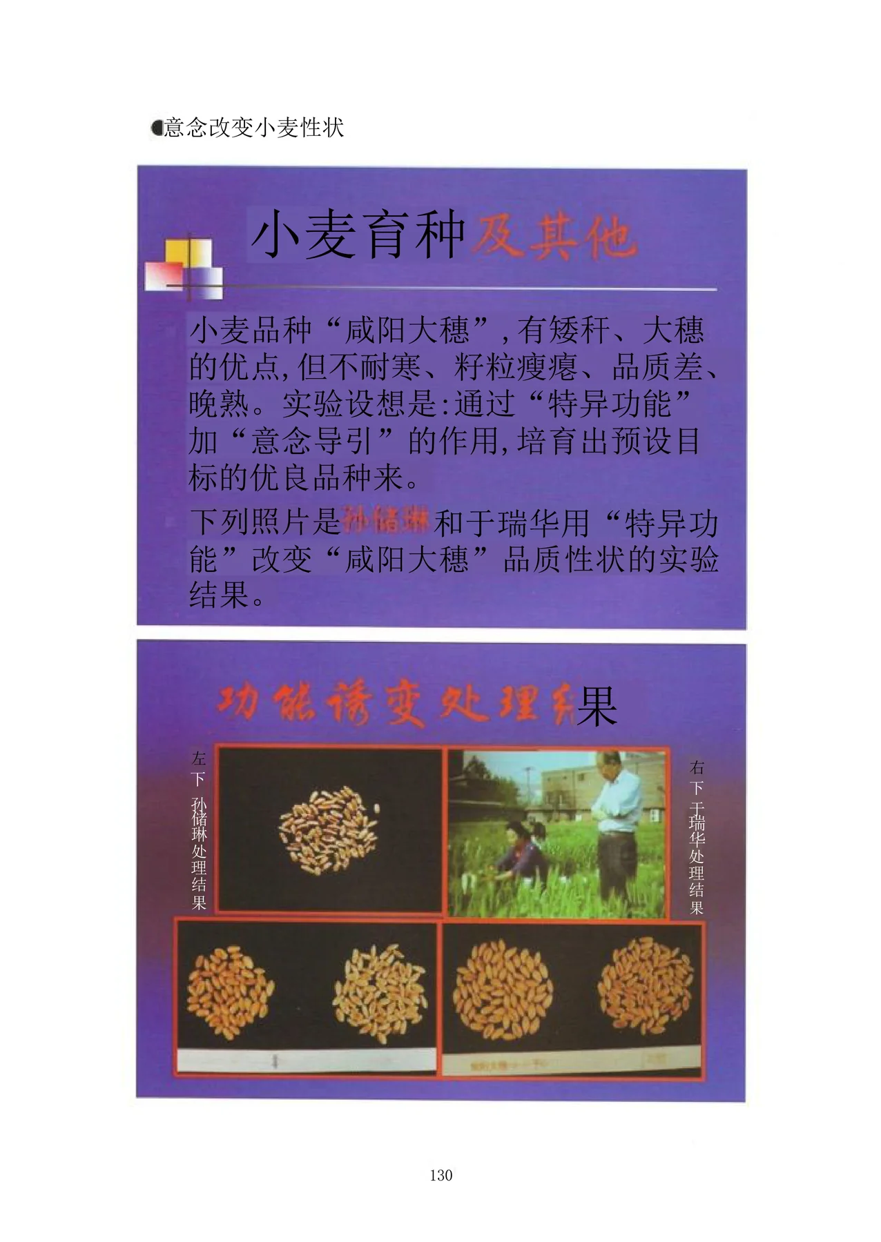 Source visual from PDF page 145