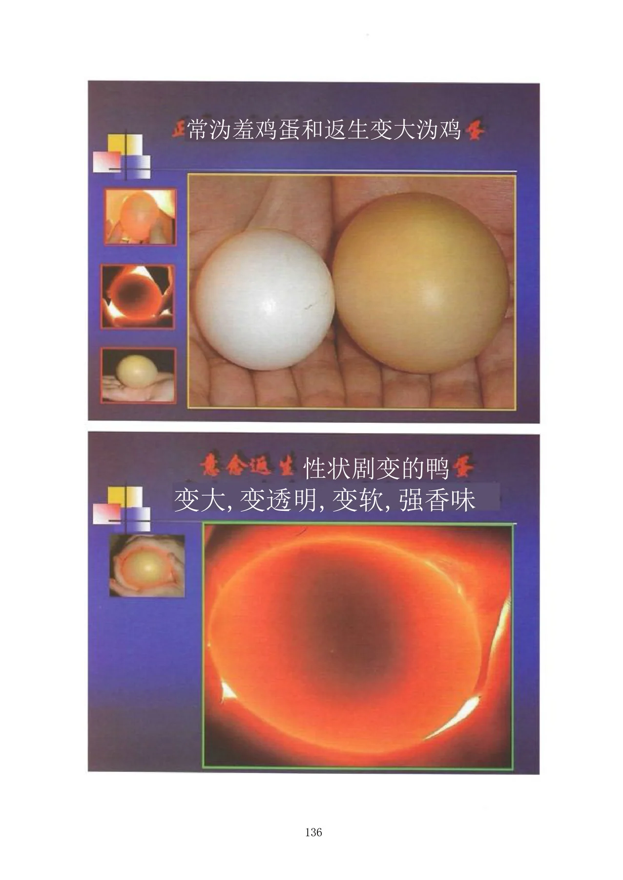 Source visual from PDF page 151