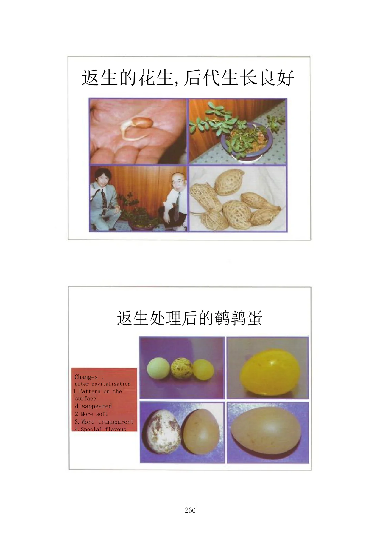 Source visual from PDF page 282