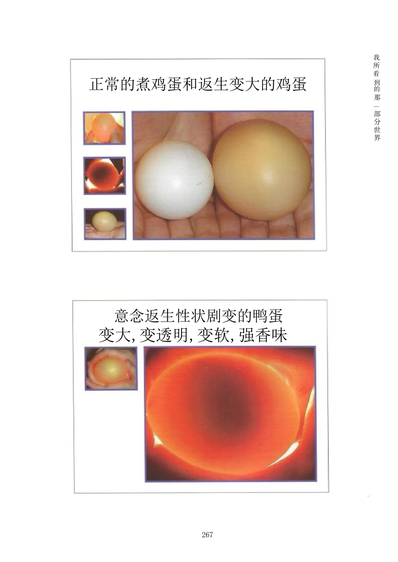 Source visual from PDF page 283