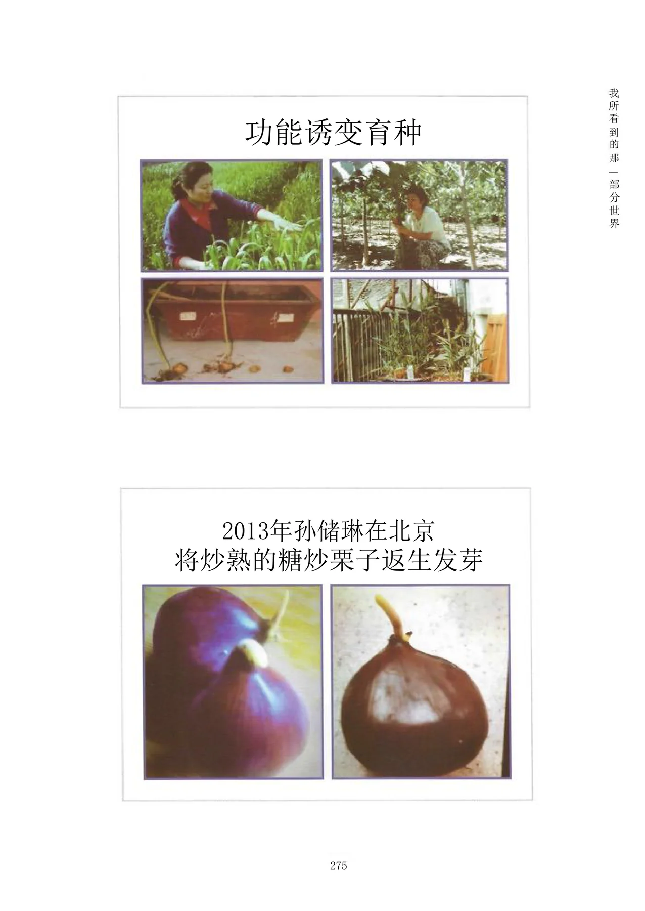 Source visual from PDF page 291