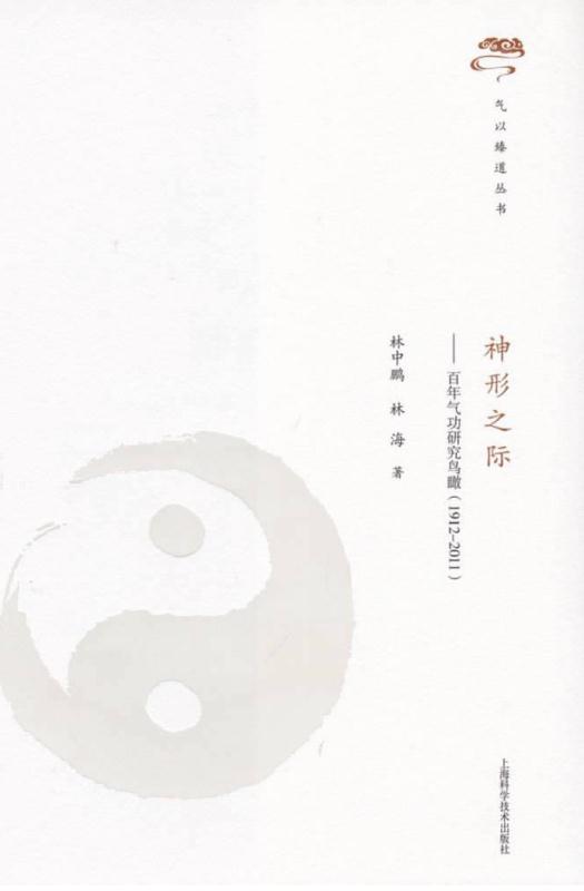 Chinese cover of Between Spirit and Form: Overview