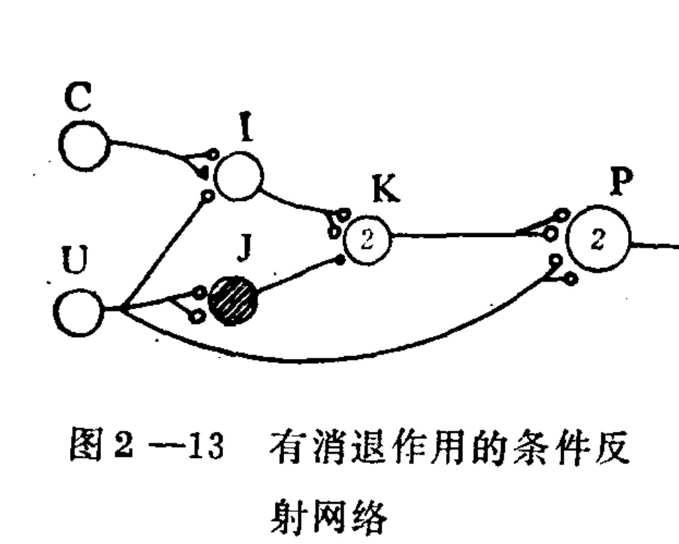 A schematic diagram of a neural circuit illustrating a conditioned reflex network. The diagram features nodes labeled C, U, I, J, K, and P connected by lines representing synaptic pathways. Arrows indicate the direction of signal flow from input nodes C and U to intermediate nodes I and J, then to node K, and finally to output node P. Node J is shaded with diagonal hatching. Nodes K and P contain the number '2'. A long inhibitory pathway connects node U directly to node P. The text below identifies the diagram as a conditioned reflex network exhibiting extinction.