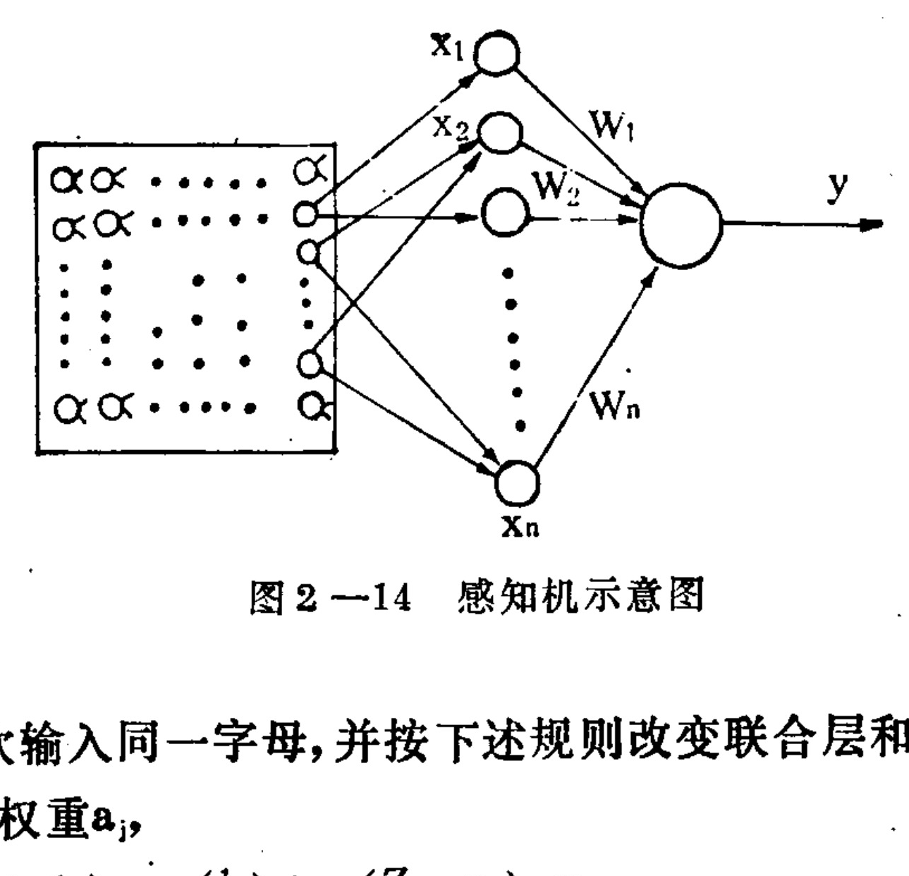 A schematic diagram illustrating the structure of a perceptron. On the left, a rectangular grid contains dots and alpha symbols (α), representing an input pattern. Arrows extend from selected points on the right edge of this grid to a vertical column of circular nodes labeled x1, x2, through xn. From these input nodes, arrows converge onto a single large output node on the right. These connections are weighted, indicated by labels W1, W2, and Wn. A final arrow extends from the output node to the label y, representing the perceptron's output.