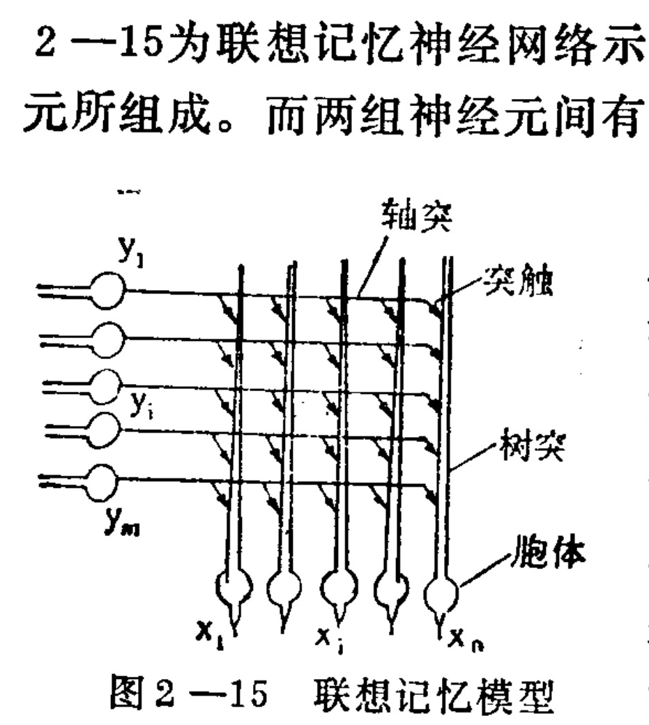 A schematic diagram of an associative memory neural network. It features a set of horizontal lines representing axons originating from input nodes labeled y1 to ym on the left. These intersect with vertical lines representing dendrites that terminate at output nodes labeled x1 to xn at the bottom. The intersections are marked as synapses, indicated by small arrows showing signal transmission direction. Labels identify the cellular components: axon, synapse, dendrite, and cell body.