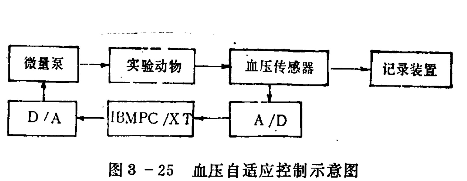 A block diagram illustrating a closed-loop feedback system for blood pressure control. The process begins with a 'Micro pump' injecting into an 'Experimental animal'. Output flows to a 'Blood pressure sensor', which feeds data to both a 'Recording device' and an 'A/D' converter. The signal passes through a central 'IBMPC/XT' computer, then through a 'D/A' converter back to the micro pump, completing the control loop.