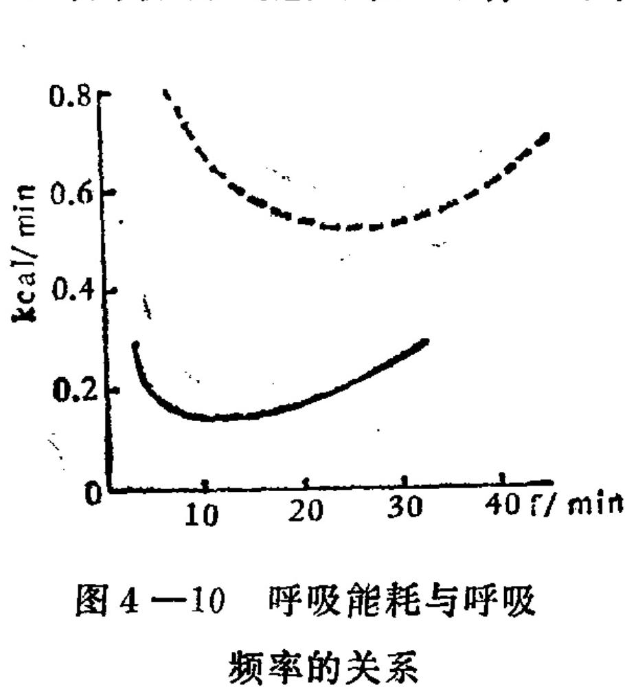 A line graph with two curves showing the relationship between breathing frequency and energy consumption. The vertical axis represents energy consumption in kcal/min, ranging from 0 to 0.8. The horizontal axis represents frequency (f) in breaths per minute (/min), ranging from 0 to over 40. A solid curve shows a U-shaped trend with a minimum around 10-20 /min. A dashed curve above it follows a similar U-shape but at higher energy consumption levels.