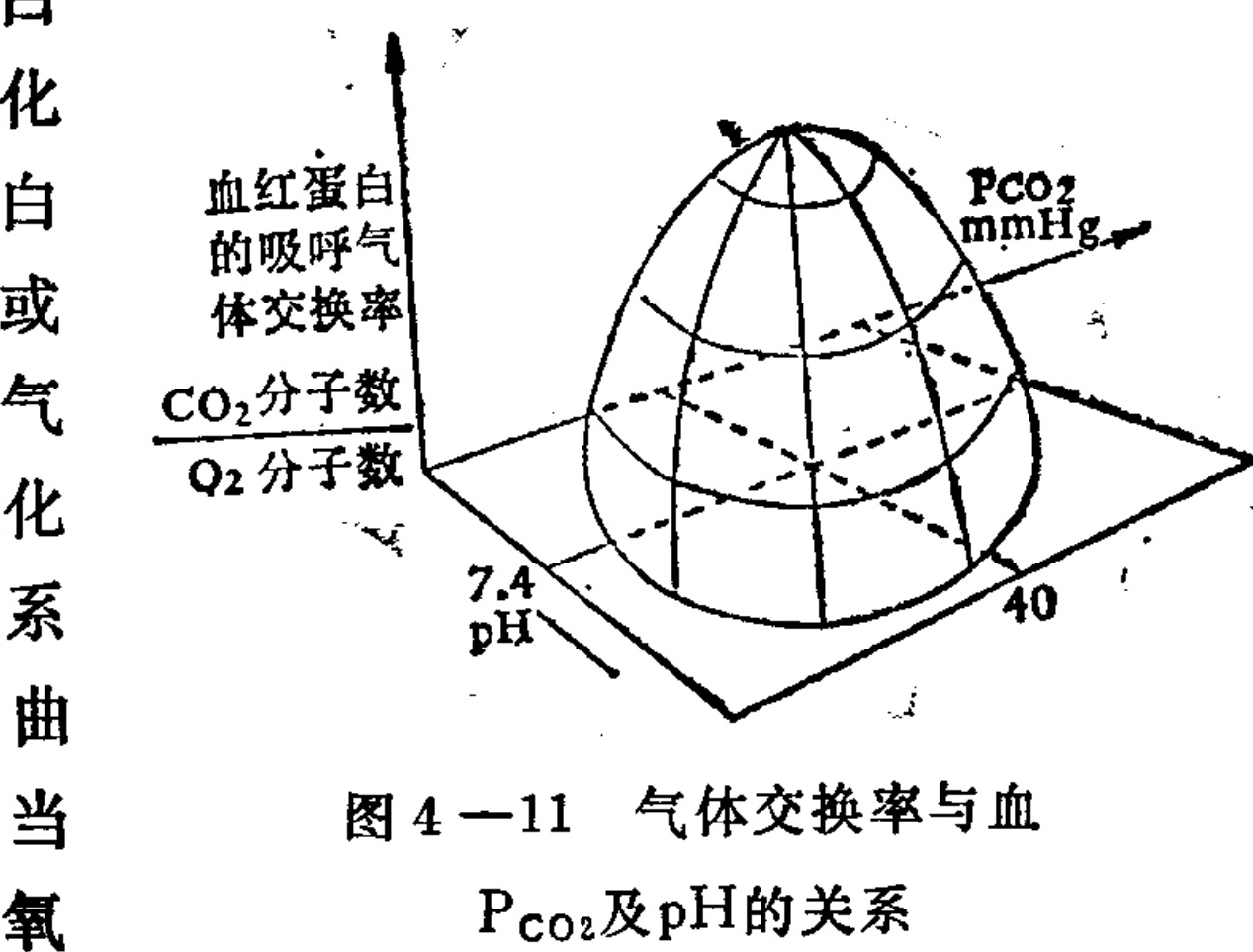 A three-dimensional surface plot illustrating the relationship between hemoglobin's respiratory gas exchange ratio, partial pressure of carbon dioxide (PCO2), and pH. The vertical axis represents the ratio of CO2 molecules to O2 molecules. The horizontal plane is defined by axes for PCO2 in mmHg and pH. A dome-shaped surface indicates that the gas exchange ratio increases with higher PCO2 and lower pH, peaking at high CO2 pressure and low acidity.