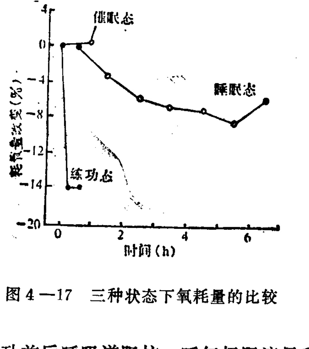 A line graph plotting 'Oxygen consumption change (%)' on the y-axis against 'Time (h)' on the x-axis. The graph displays three distinct data series labeled in Chinese. The top curve, labeled 'Hypnotic state', starts at 0% and gradually declines to approximately -8% over 6 hours. The middle curve, labeled 'Sleep state', shows a steeper decline from 0% to -10% before rising slightly. The bottom curve, labeled 'Meditation state', drops sharply to -14% immediately and remains low. The y-axis ranges from 4 to -20, and the x-axis ranges from 0 to 6.