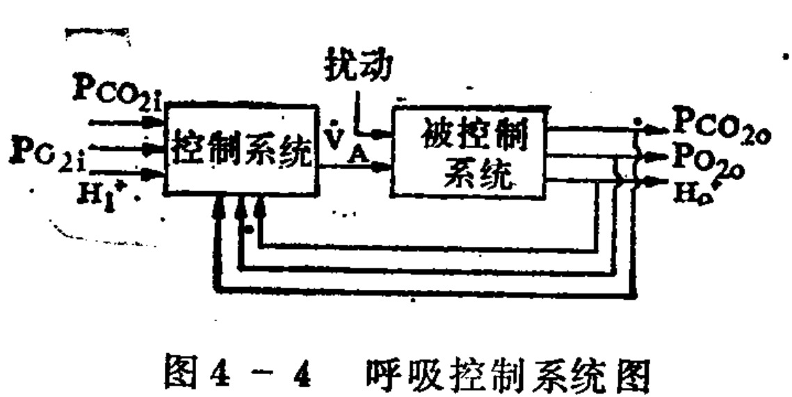 A block diagram illustrating a negative feedback loop for the respiratory control system. On the left, inputs including PCO2i, PC2i, and H1+ enter a 'Control System' block. This block outputs ventilation (VA) to a 'Controlled System' block on the right, which is also influenced by 'Disturbance'. The Controlled System produces outputs PCO2o, PO2o, and Ho, which are fed back via arrows to the Control System.
