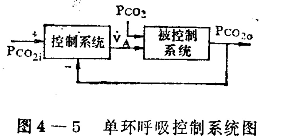 A block diagram illustrating a negative feedback loop for respiratory control. A 'Control System' block receives an input signal labeled P_CO2i and a negative feedback signal from the output. It produces a control signal V_A that acts on a 'Controlled System' block, which also receives a disturbance input P_CO2. The final output of the system is labeled P_CO2o.