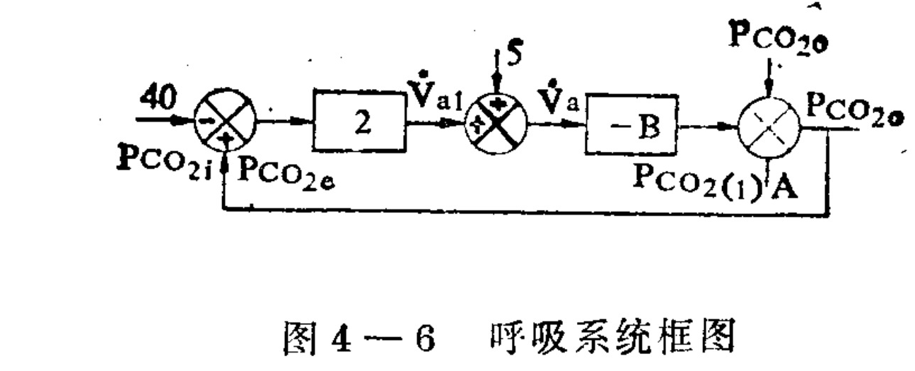 A block diagram illustrating a negative feedback control loop for the respiratory system. The signal flow moves from left to right, starting with an input value of 40 and a variable P_CO2i entering a summing junction. The output passes through a gain block '2', then adds an input '5' at another summing point to produce V_a. This signal goes through a transfer function '-B' before reaching a final summing junction that subtracts a feedback signal A (derived from the output P_CO2o) and adds P_CO2(1). The final output is labeled P_CO2o, which also feeds back as P_CO2e to the initial input.