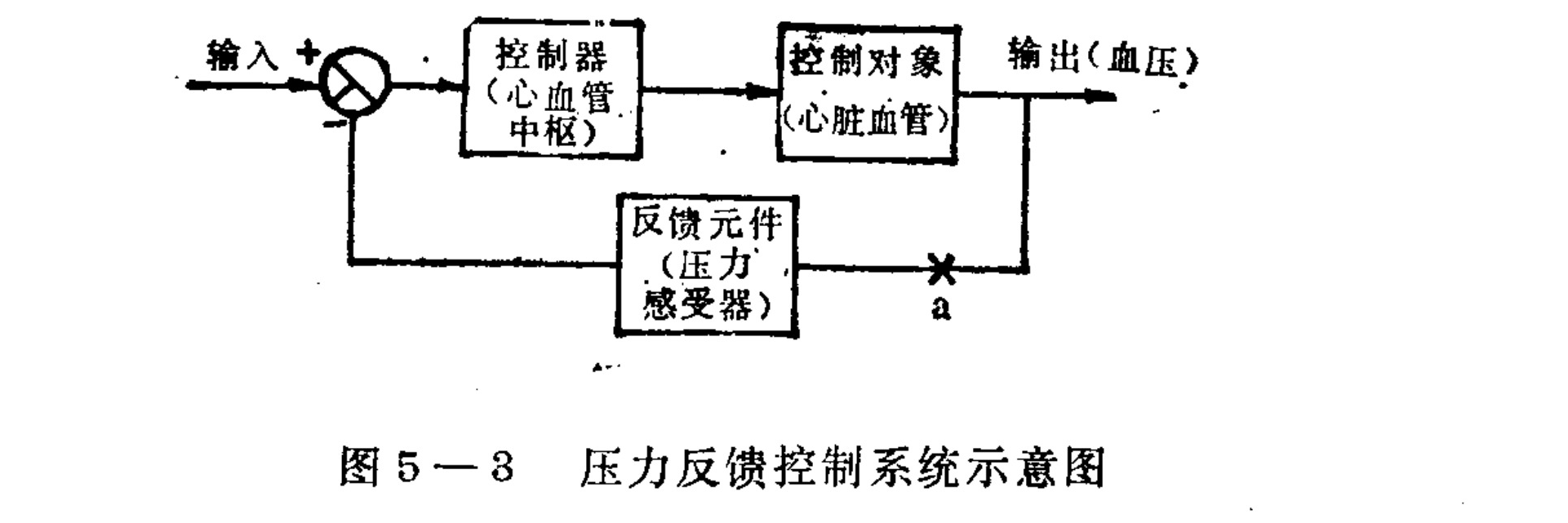 A block diagram illustrating a negative feedback loop for blood pressure regulation. An input signal enters a summing junction (circle with plus and minus signs). The output goes to a 'Controller' block labeled 'Cardiovascular Center', which connects to a 'Control Object' block labeled 'Heart and Blood Vessels'. The final output is labeled 'Output (Blood Pressure)'. A feedback path branches off the output, passes through a switch marked 'a', enters a 'Feedback Element' block labeled 'Pressure Receptors', and returns to the negative terminal of the summing junction.